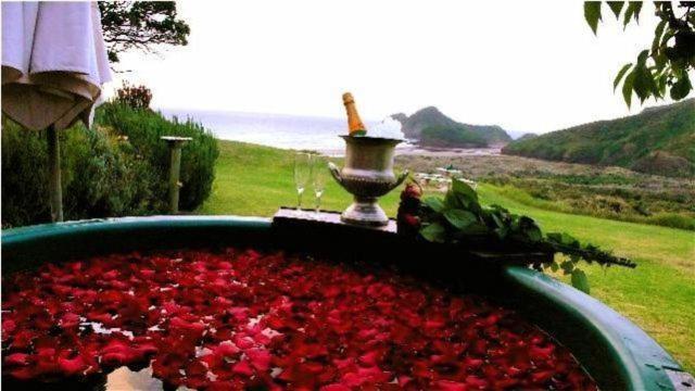 Bethells Beach Cottages ภายนอก รูปภาพ
