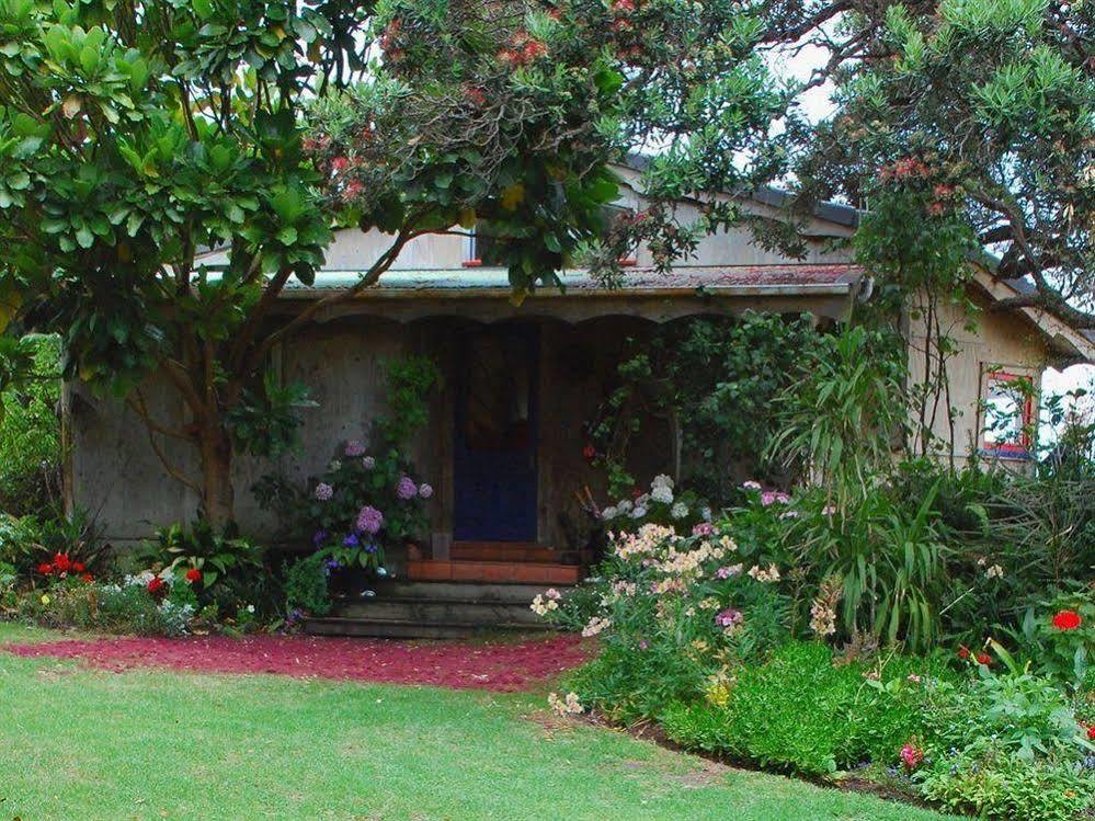 Bethells Beach Cottages ภายนอก รูปภาพ