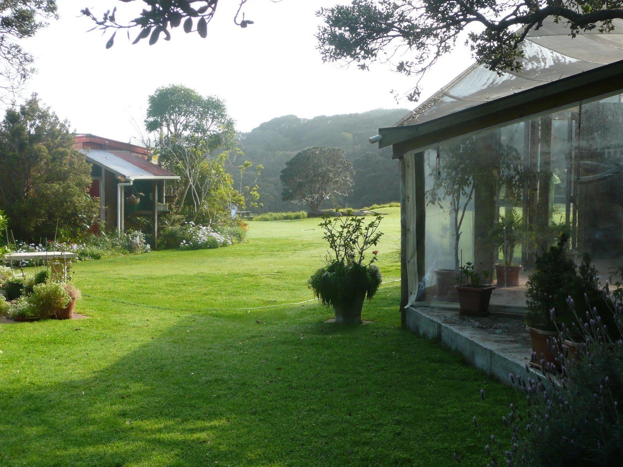 Bethells Beach Cottages ภายนอก รูปภาพ